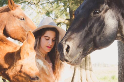 Vive, ama, sonríe, vuela…